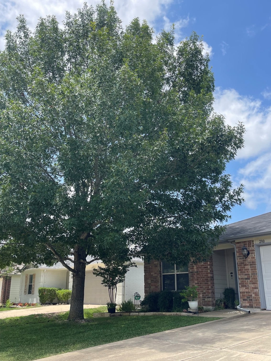 280 Spruce Drive, Kyle, TX 78640 — photo 3