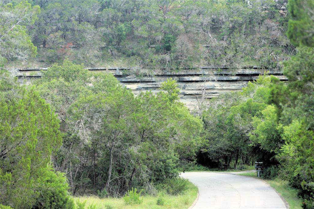 17234 E Reed Parks Road, Jonestown, TX 78645 — photo 2