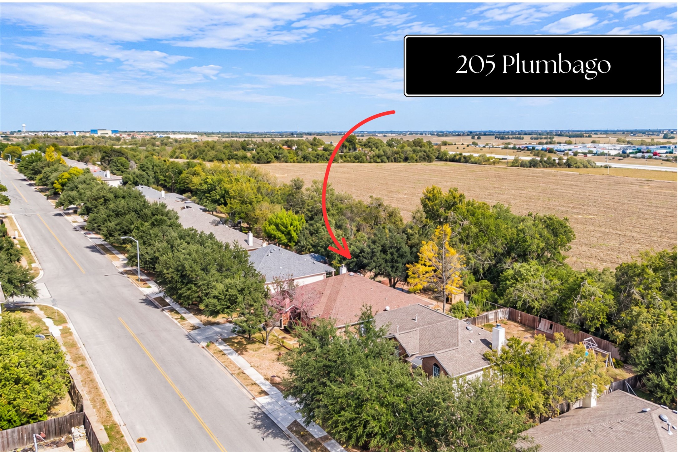 205 Plumbago Dr — photo