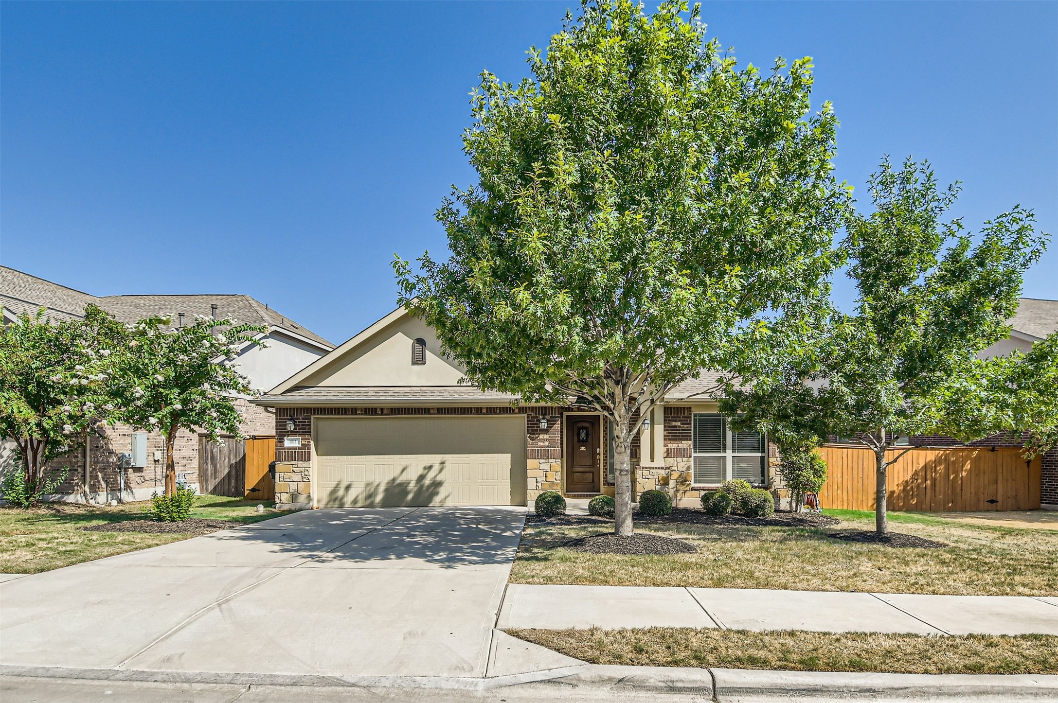 113 Lily Turf CV — photo