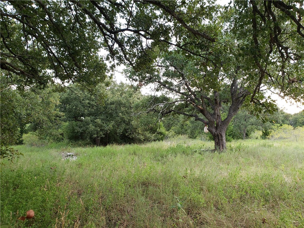 18901 Hog Eye Rd E — photo
