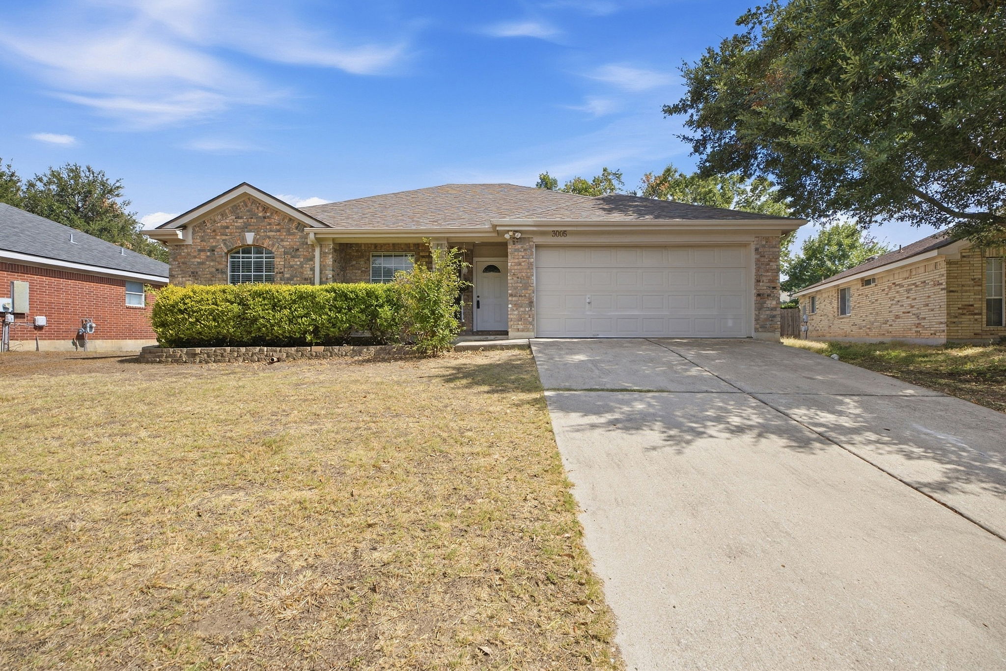 3005 Sugar Berry CV — photo
