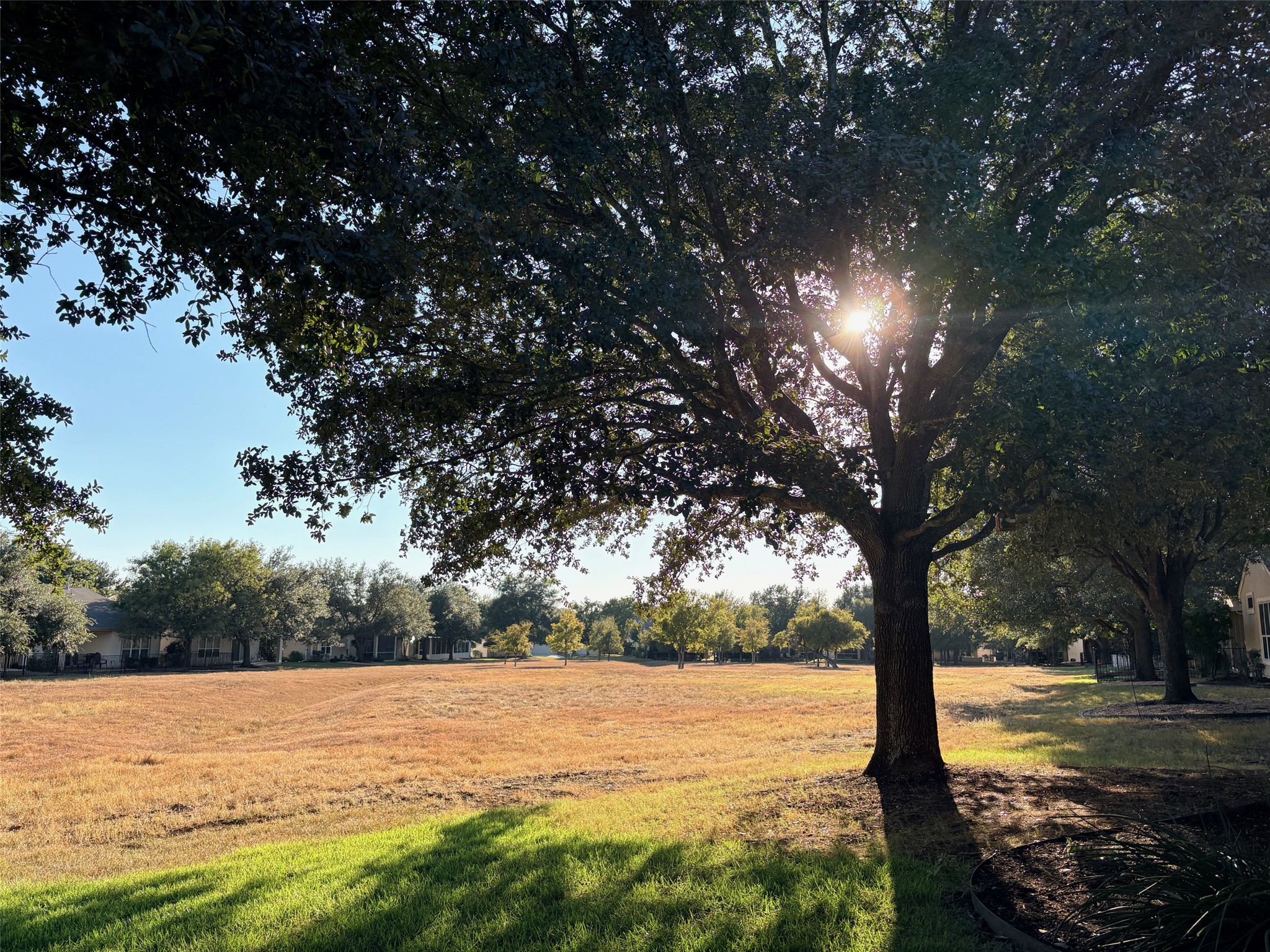 318 Crockett Loop, Georgetown, TX 78633 — photo 2