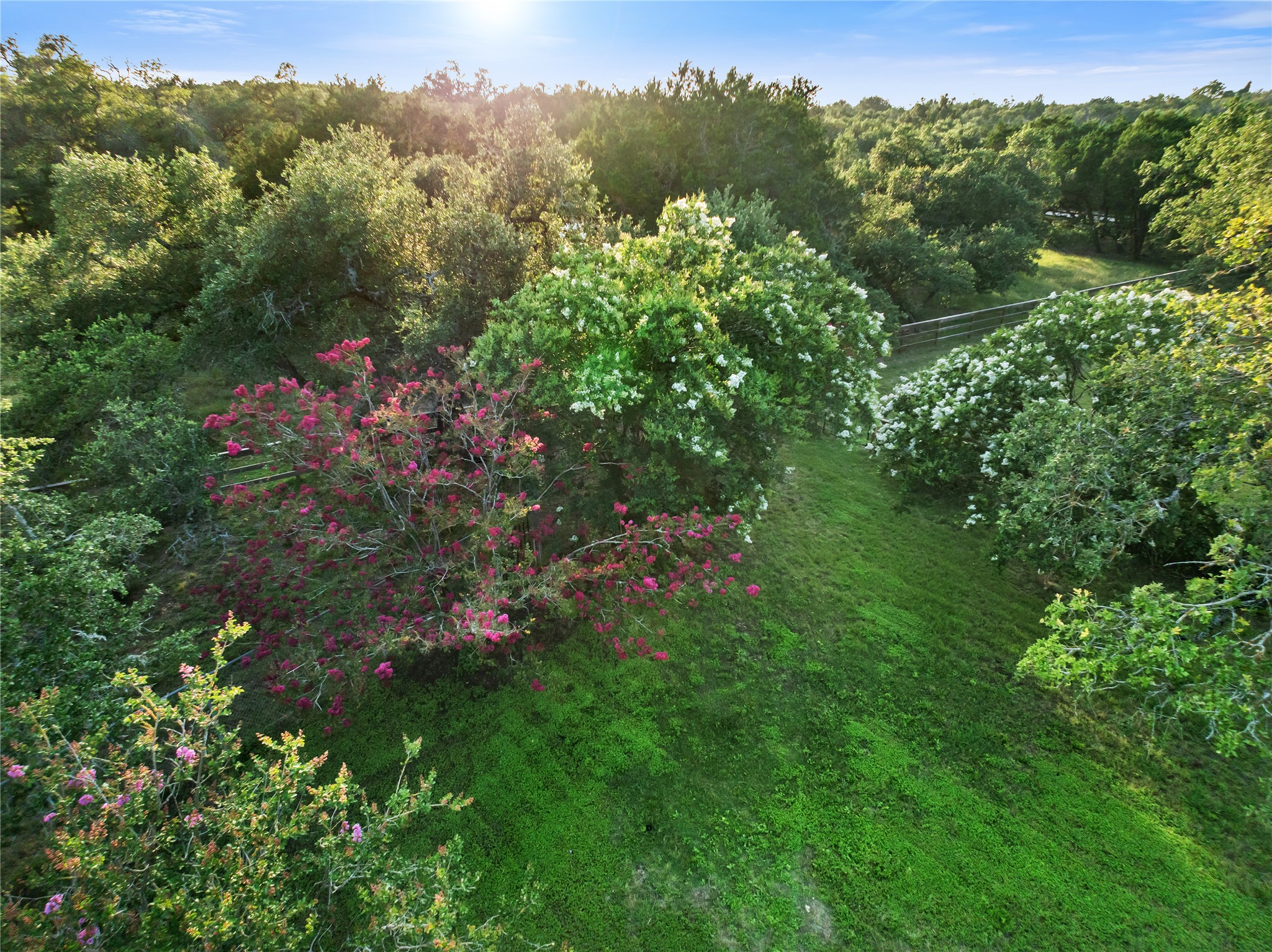 1250 S Rainbow Ranch Road, Wimberley, TX 78676 — photo 3