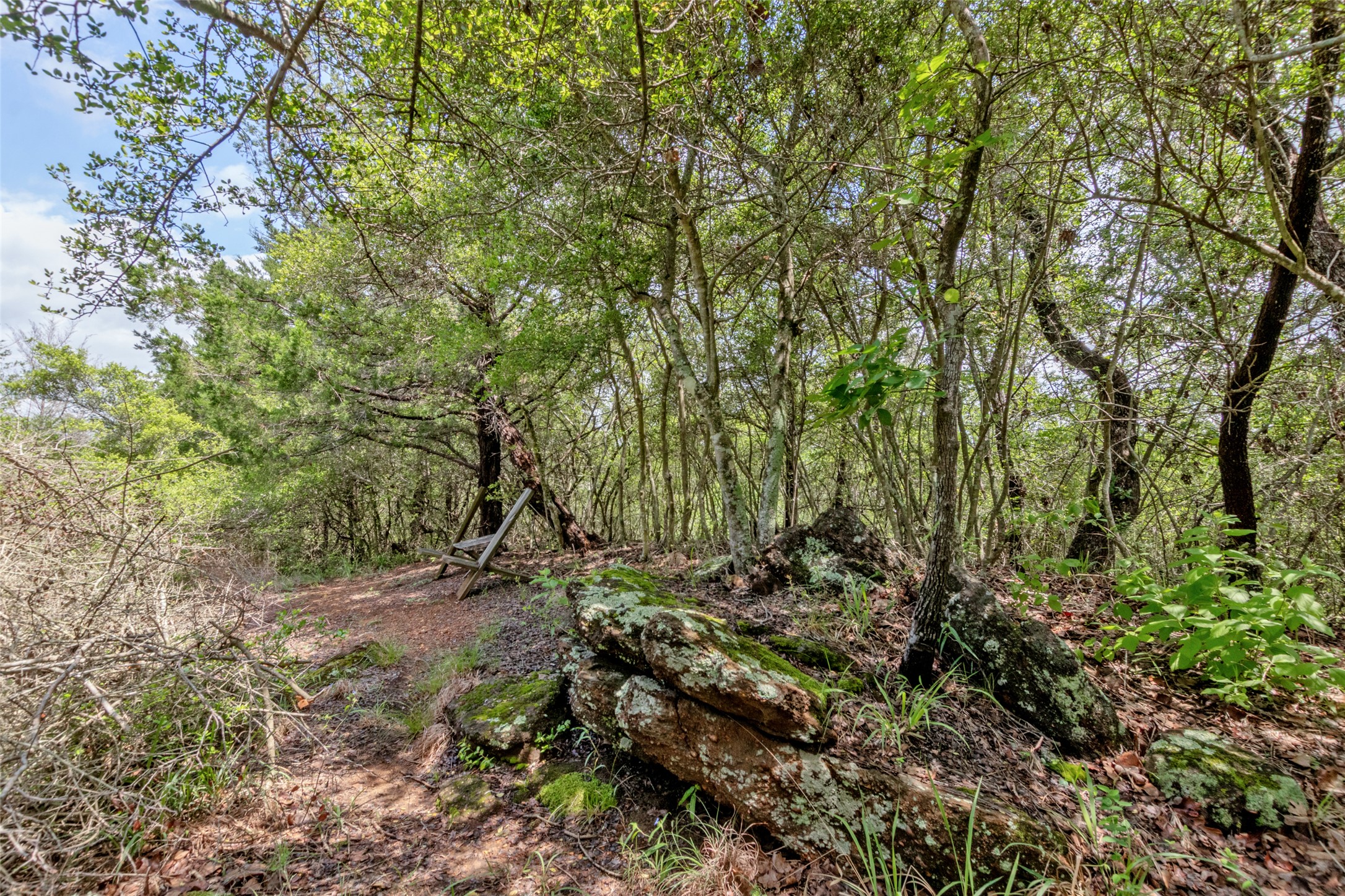 9997 Calhoun Road, Bryan, TX 77808 — photo 3