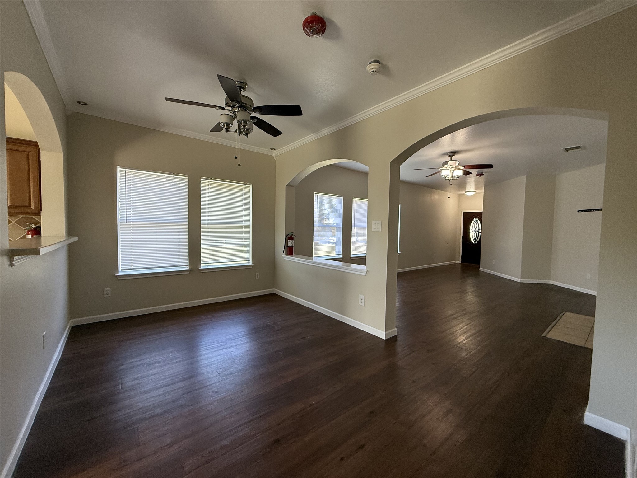 224 Dark Horse Ln — photo