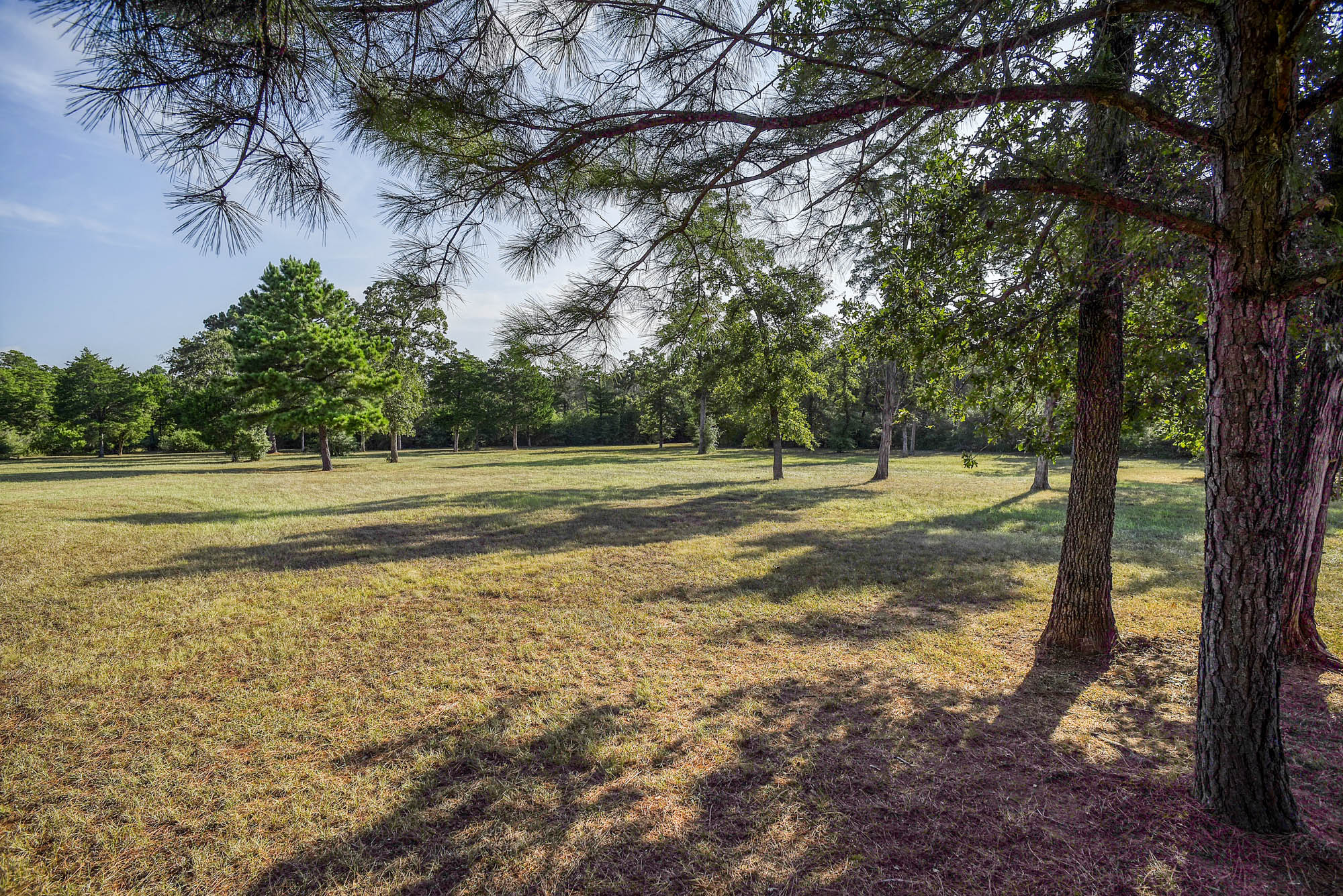123 Split Oak Road, Smithville, TX 78957 — photo 2