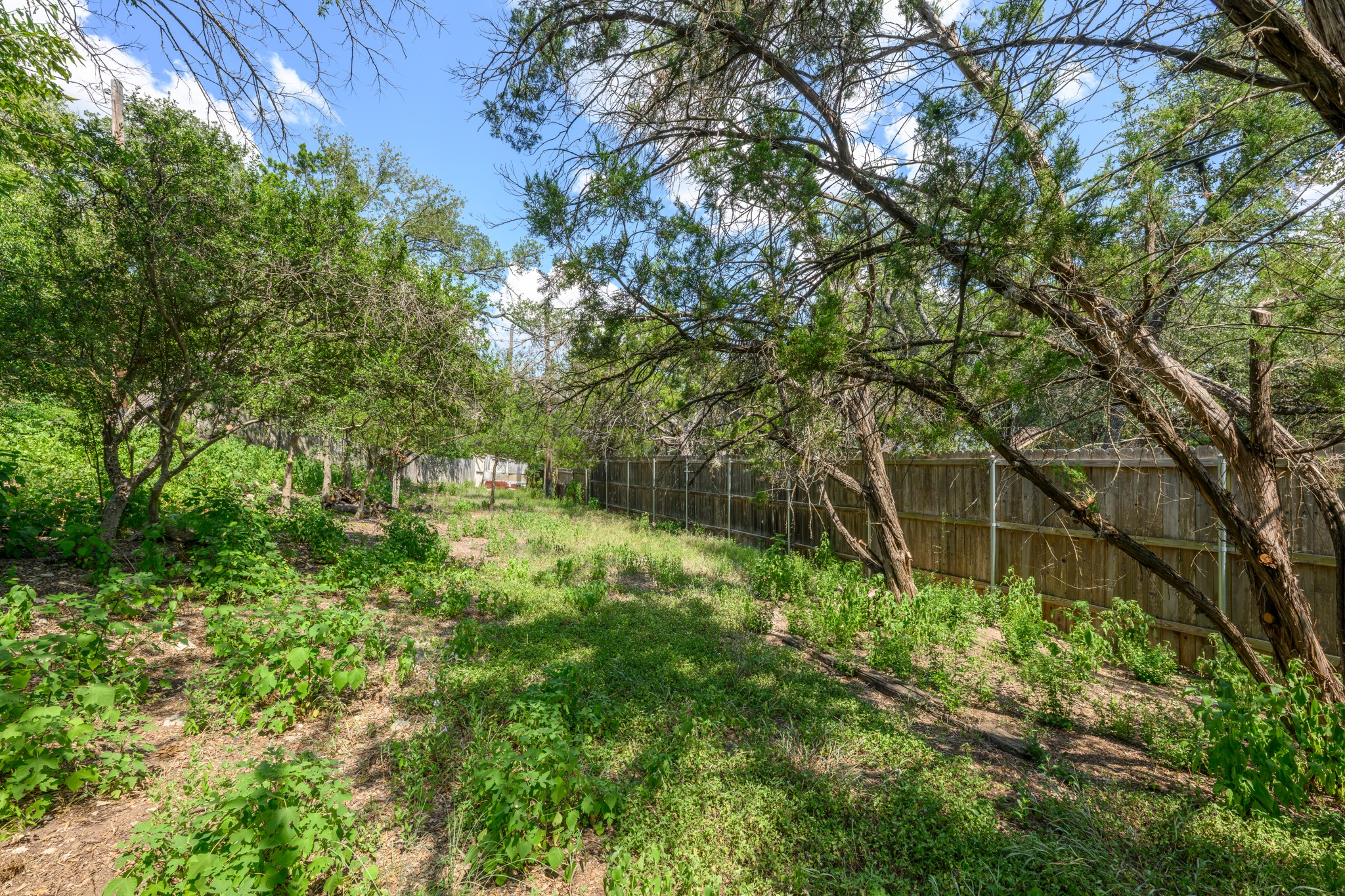 9820 Timber Ridge Pass, Austin, TX 78733 — photo 2