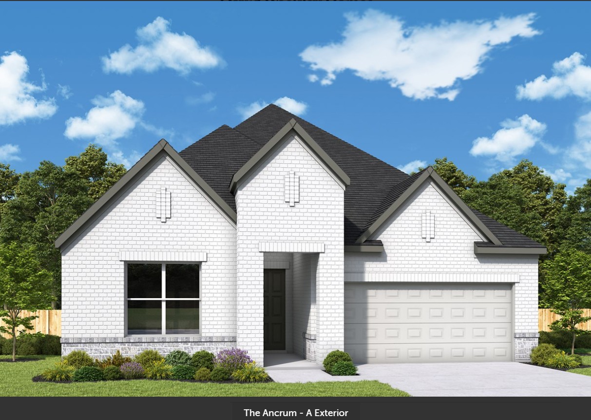 109 Silver Lupine CV — photo