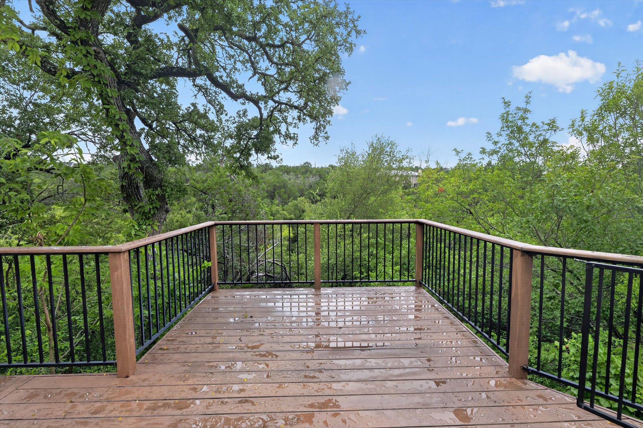 12421 Painted Bunting Dr — photo