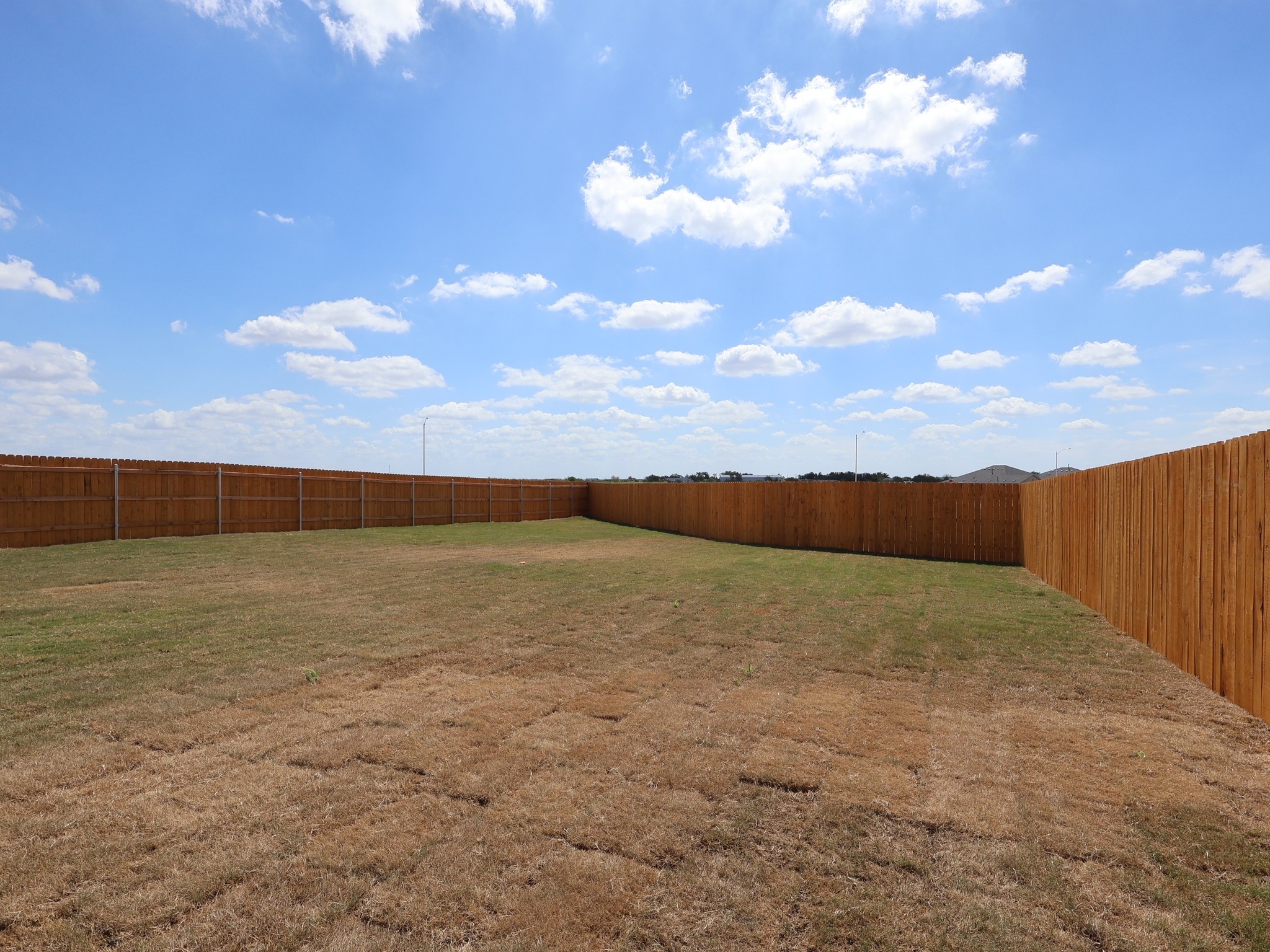 13501 Van Hollen Road, Manor, TX 78653 — photo 3