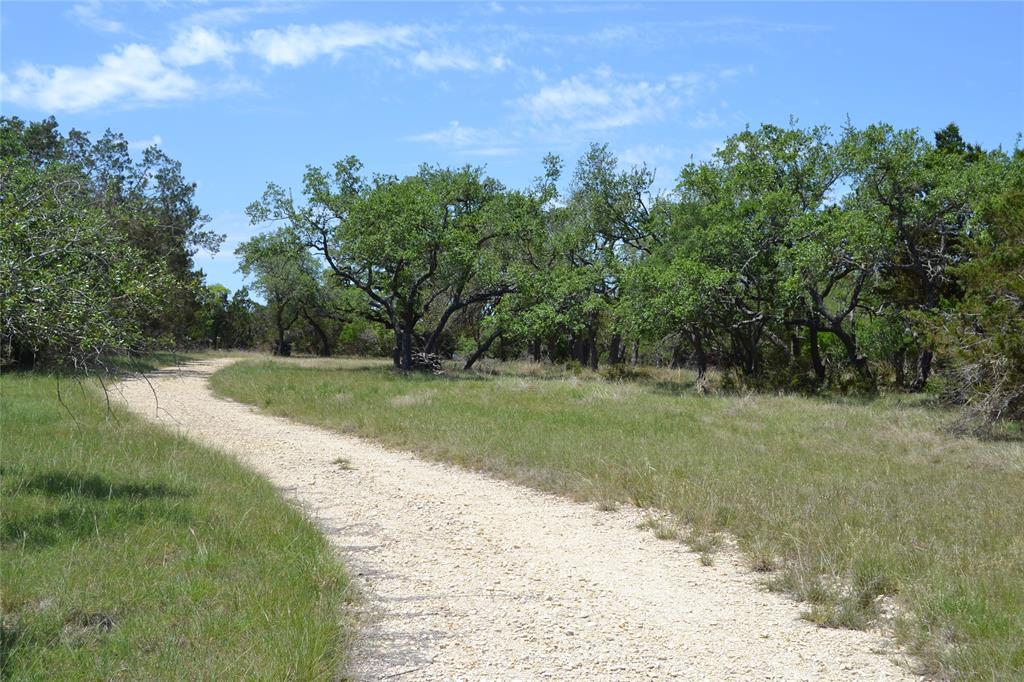 560 Longview Road, Dripping Springs, TX 78620 — photo 3