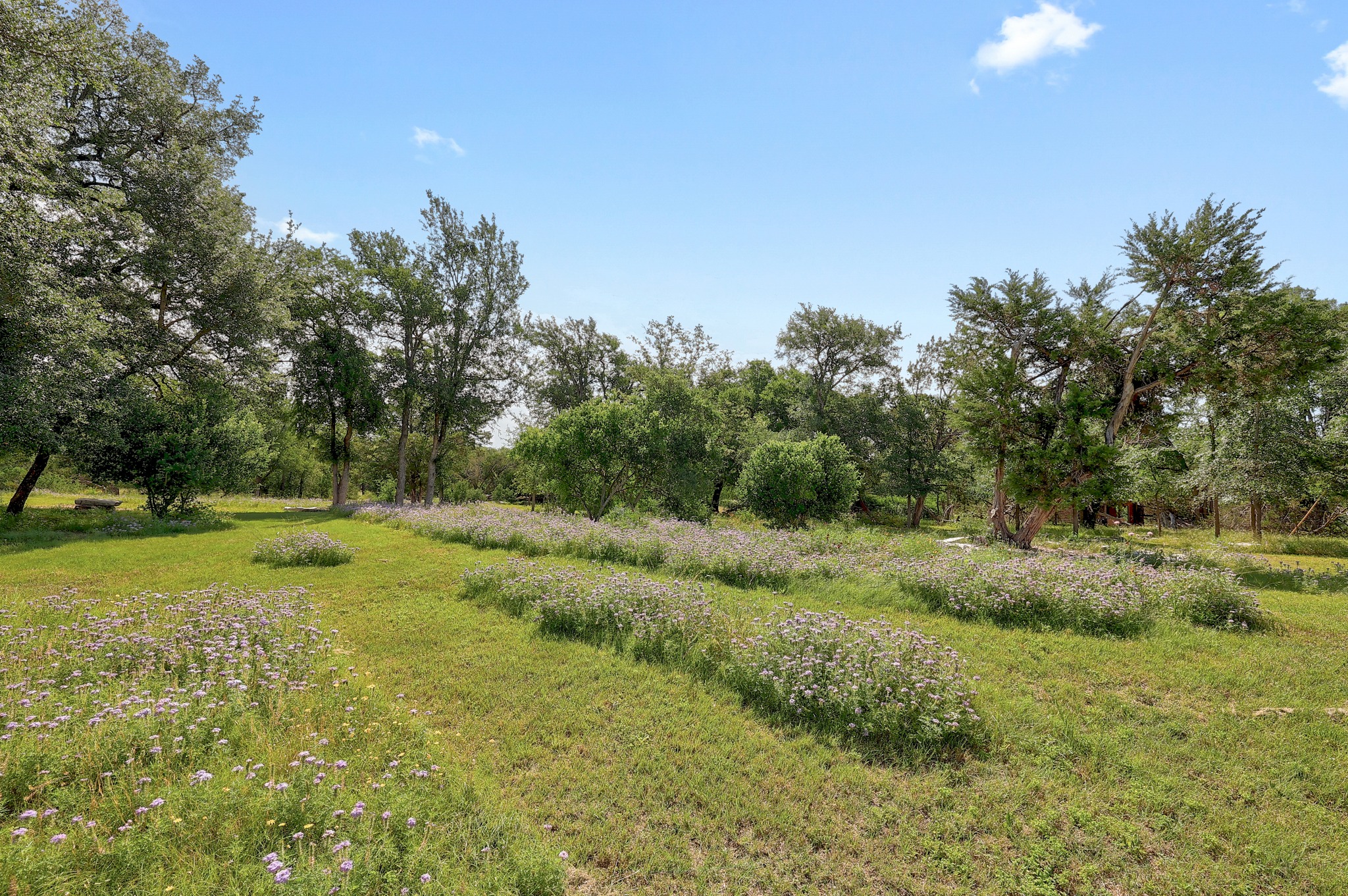 105 Arrowhead Road, Georgetown, TX 78633 — photo 2