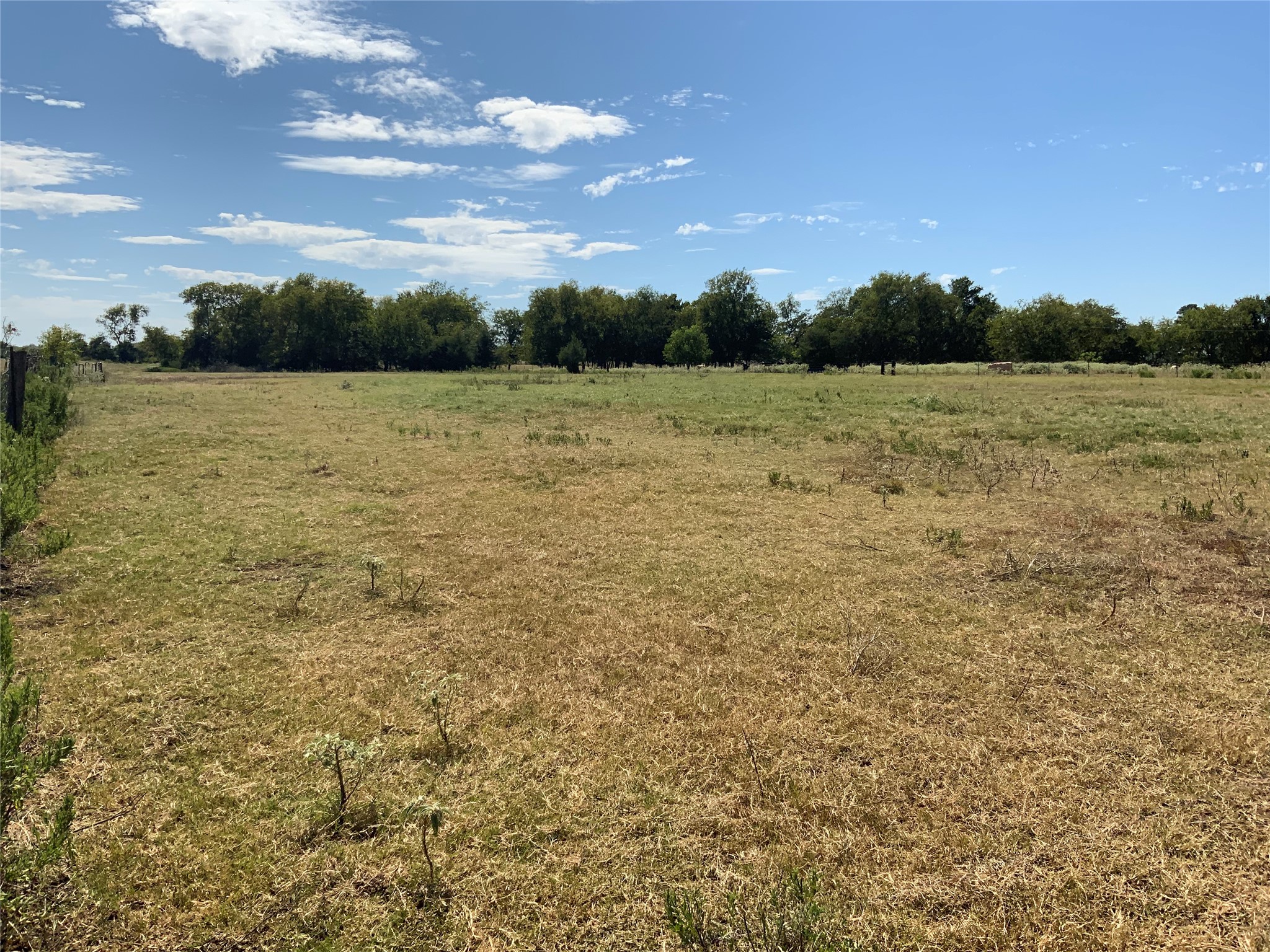 8989 FM 141 Rd — photo