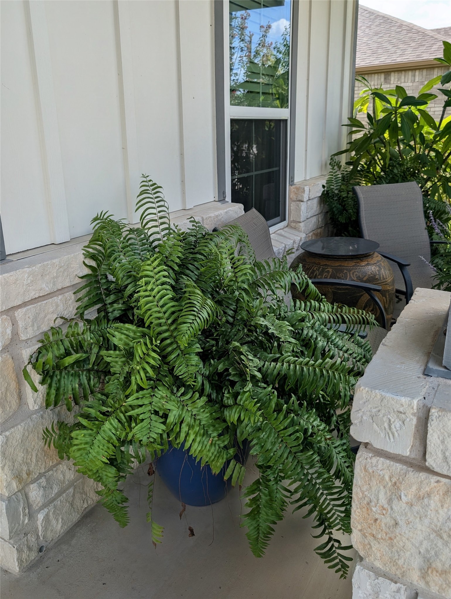 336 Kitty Hawk Road, Georgetown, TX 78633 — photo 3