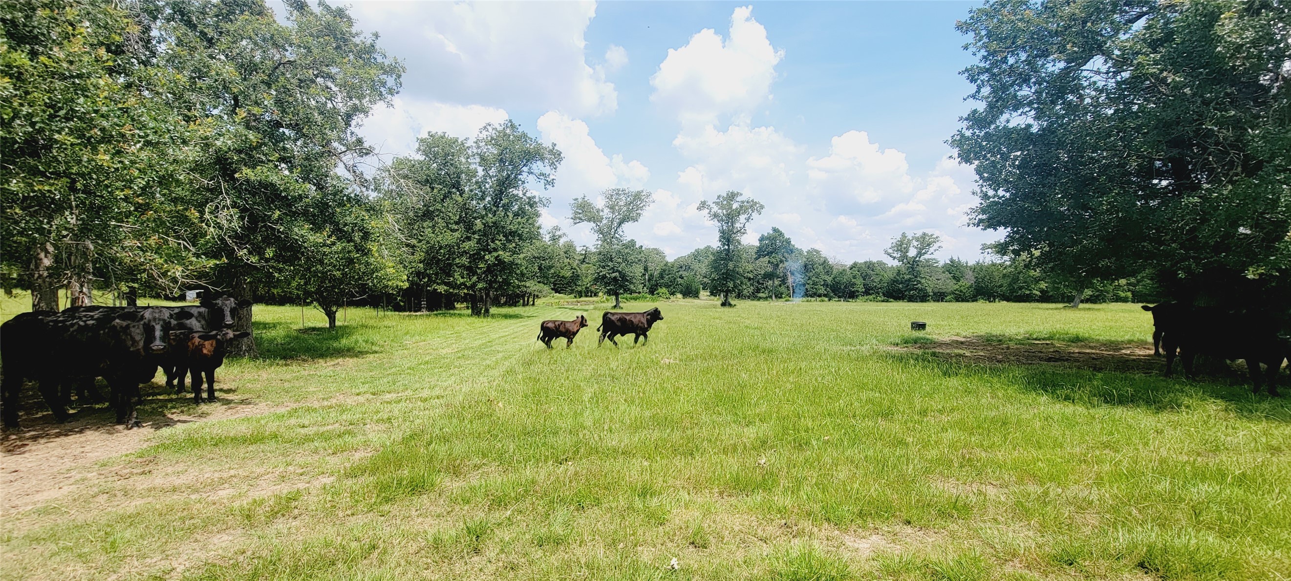 3321 County Road 457 — photo