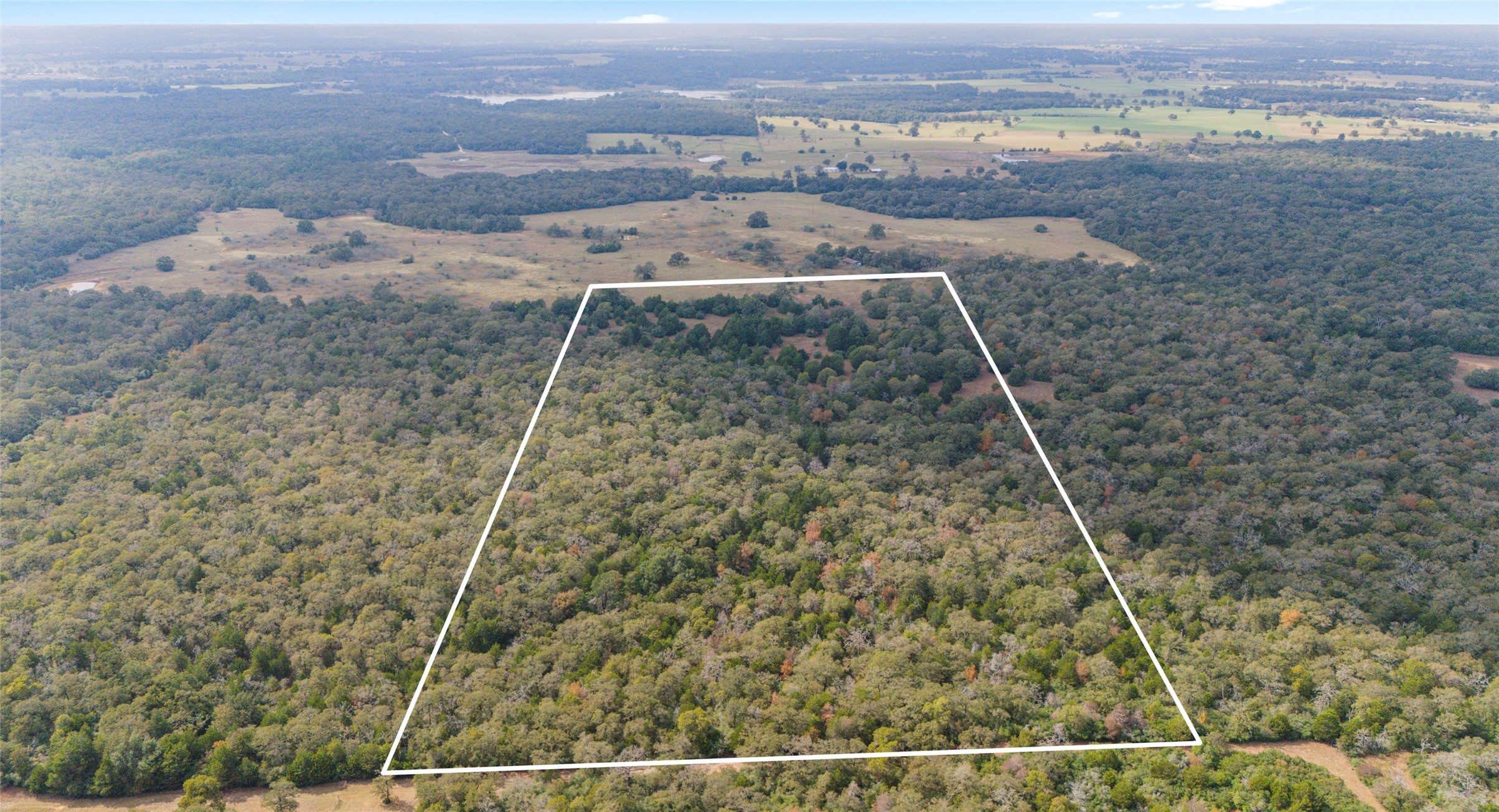 Tbd County Rd 415 — photo