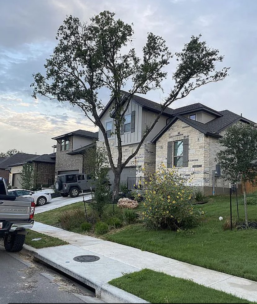 2017 Palmera Ridge Blvd 2017 Palmera Ridge Blvd — photo