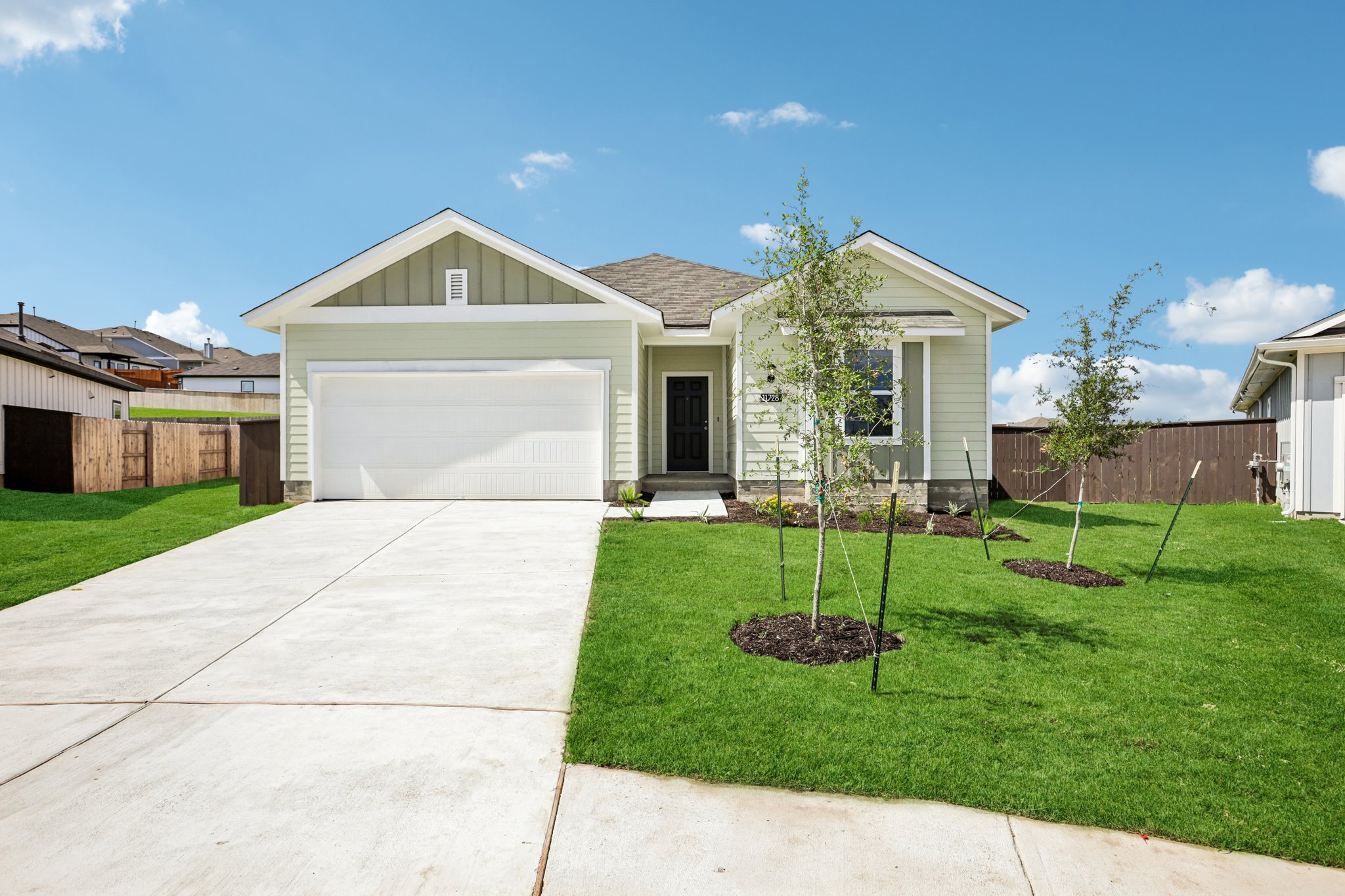 11728 Domenico CV — photo