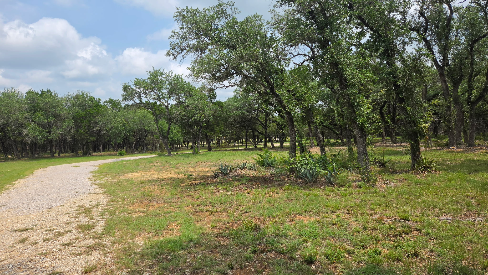 2501 Fischer Store Road, Wimberley, TX 78676 — photo 3