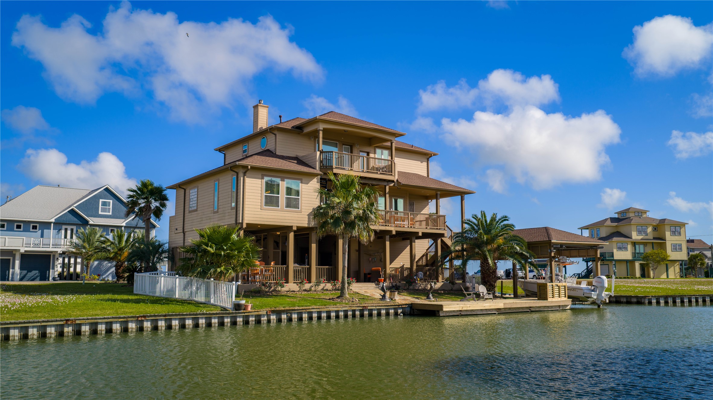 8 Loggerhead — photo