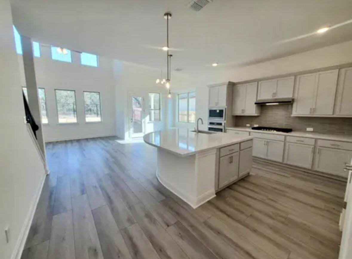 233 Cactus Tower Path, Georgetown, TX 78628 — photo 2
