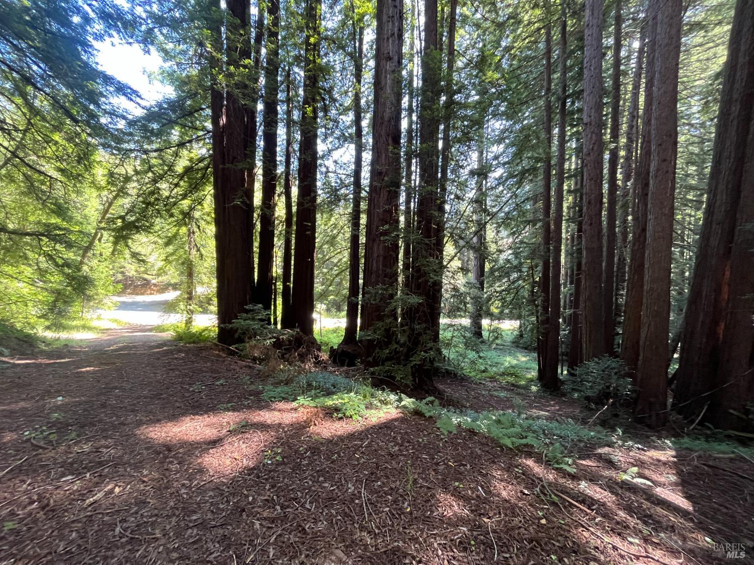1355 Nicasio Valley Road — photo