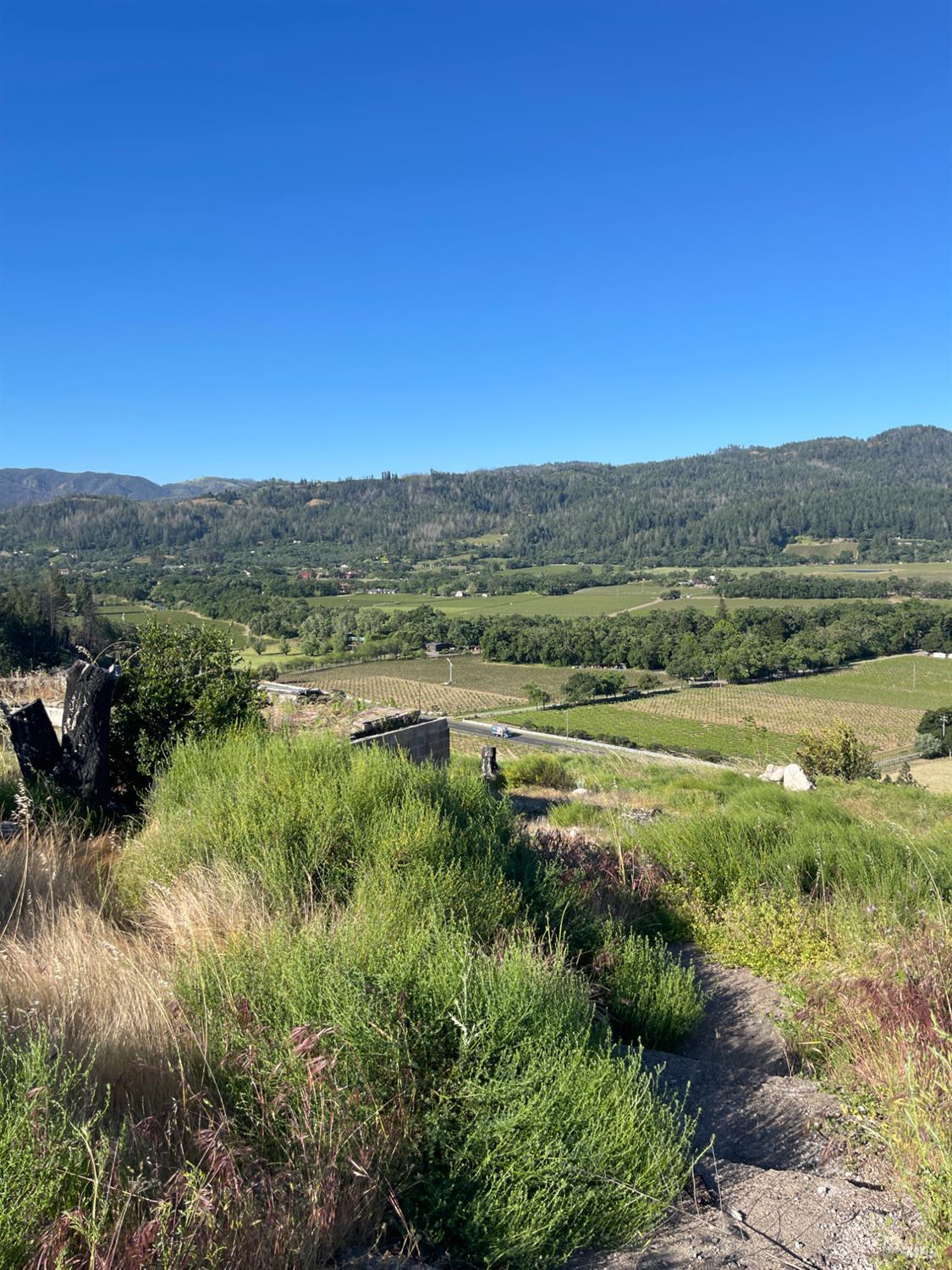 3500 Silverado Trail N — photo
