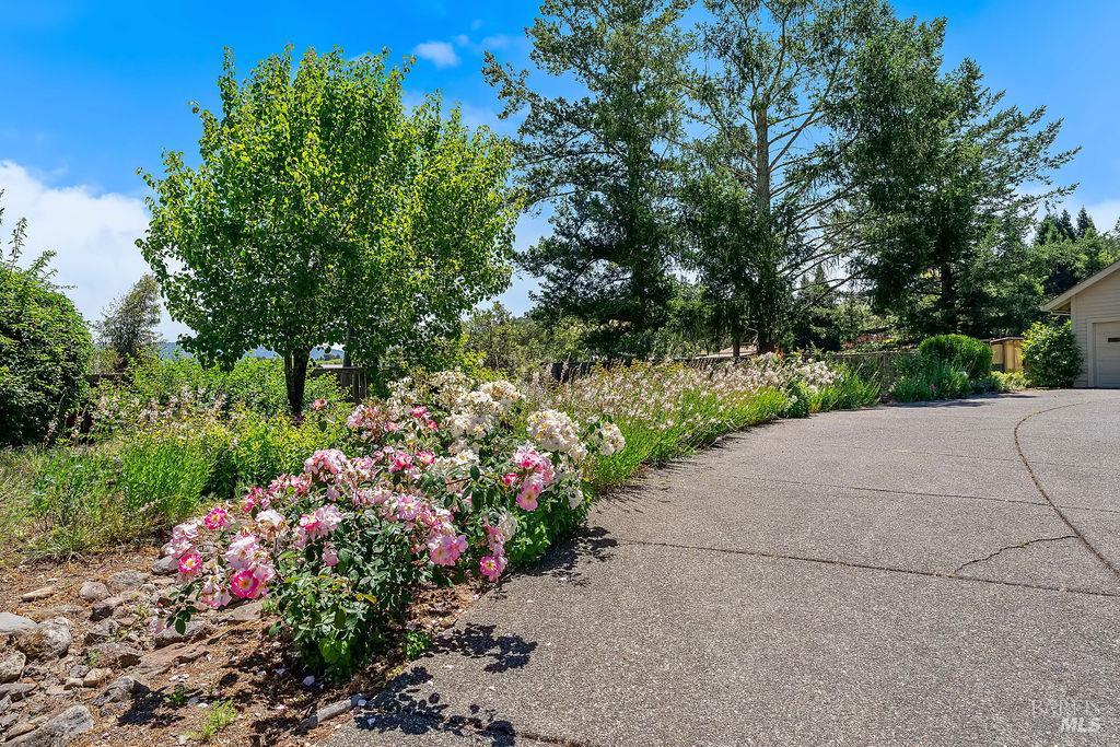 8280 Oakmont Drive, Santa Rosa, CA 95409 — photo 3