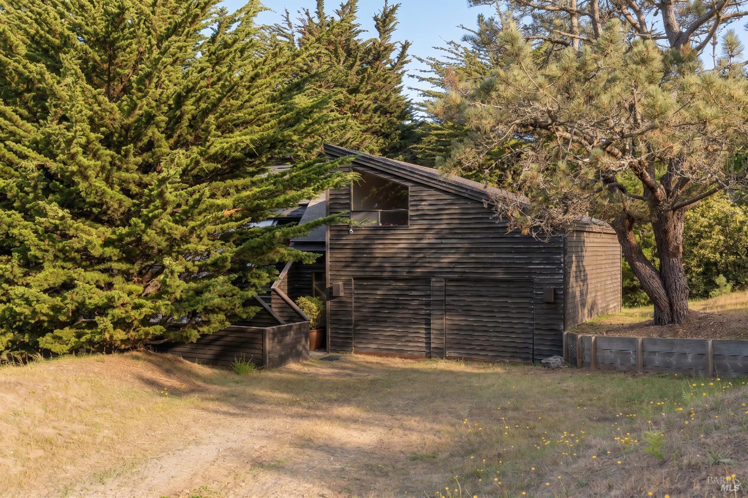 41322 Tallgrass — photo