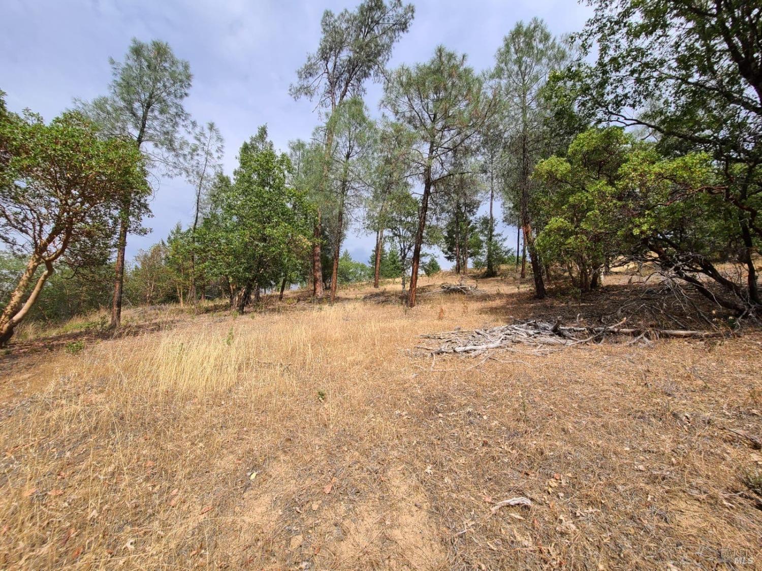 Home in Covelo, CA 95428 — photo 3
