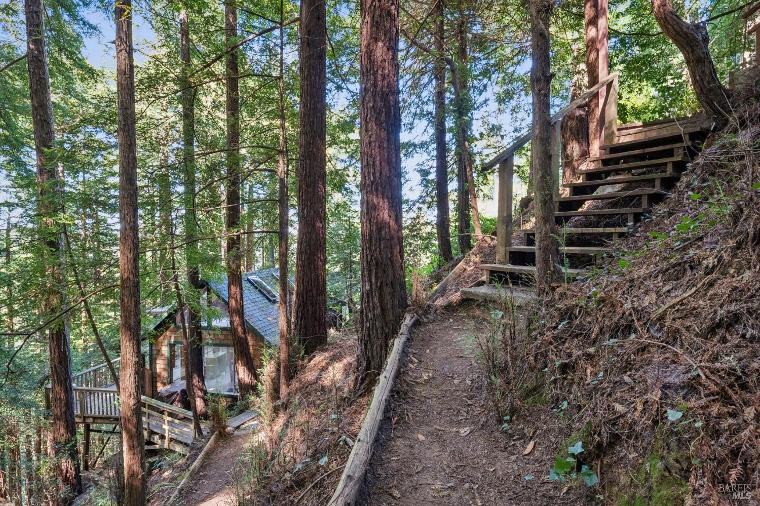 Home in Mill Valley, CA 94941 — photo 3