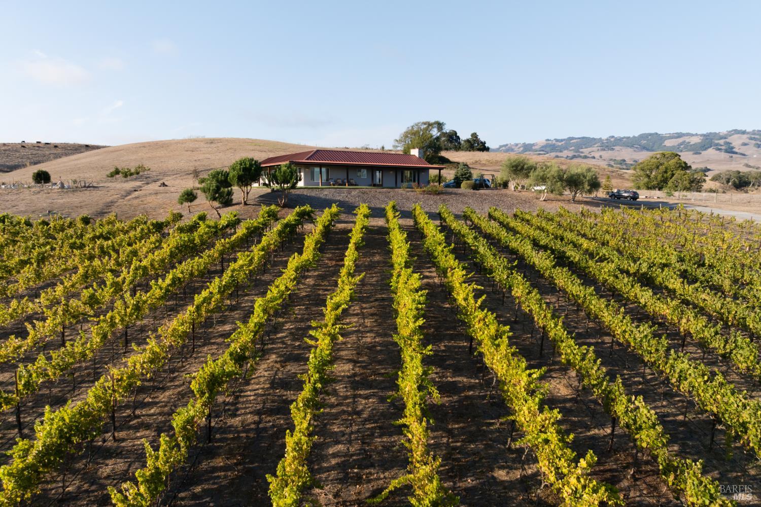 Home in Petaluma, CA 94954 — photo 3