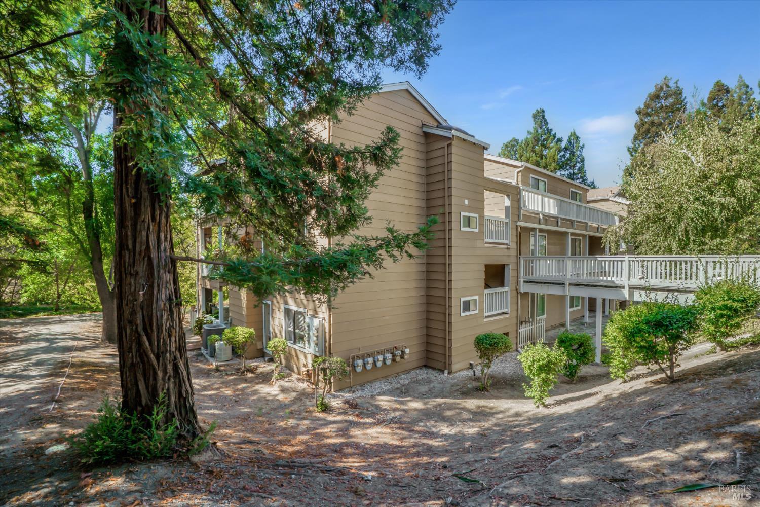 308 Mill Road, Martinez, CA 94553 — photo 3