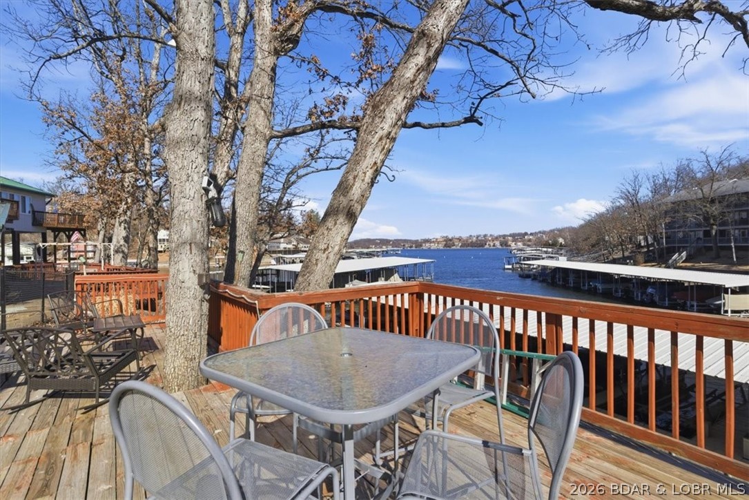 147 Polar Bear Circle 1C — photo