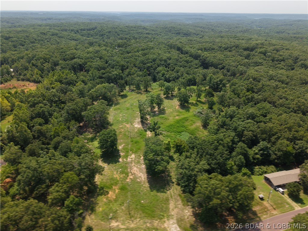 31385 Cup Tree Drive — photo