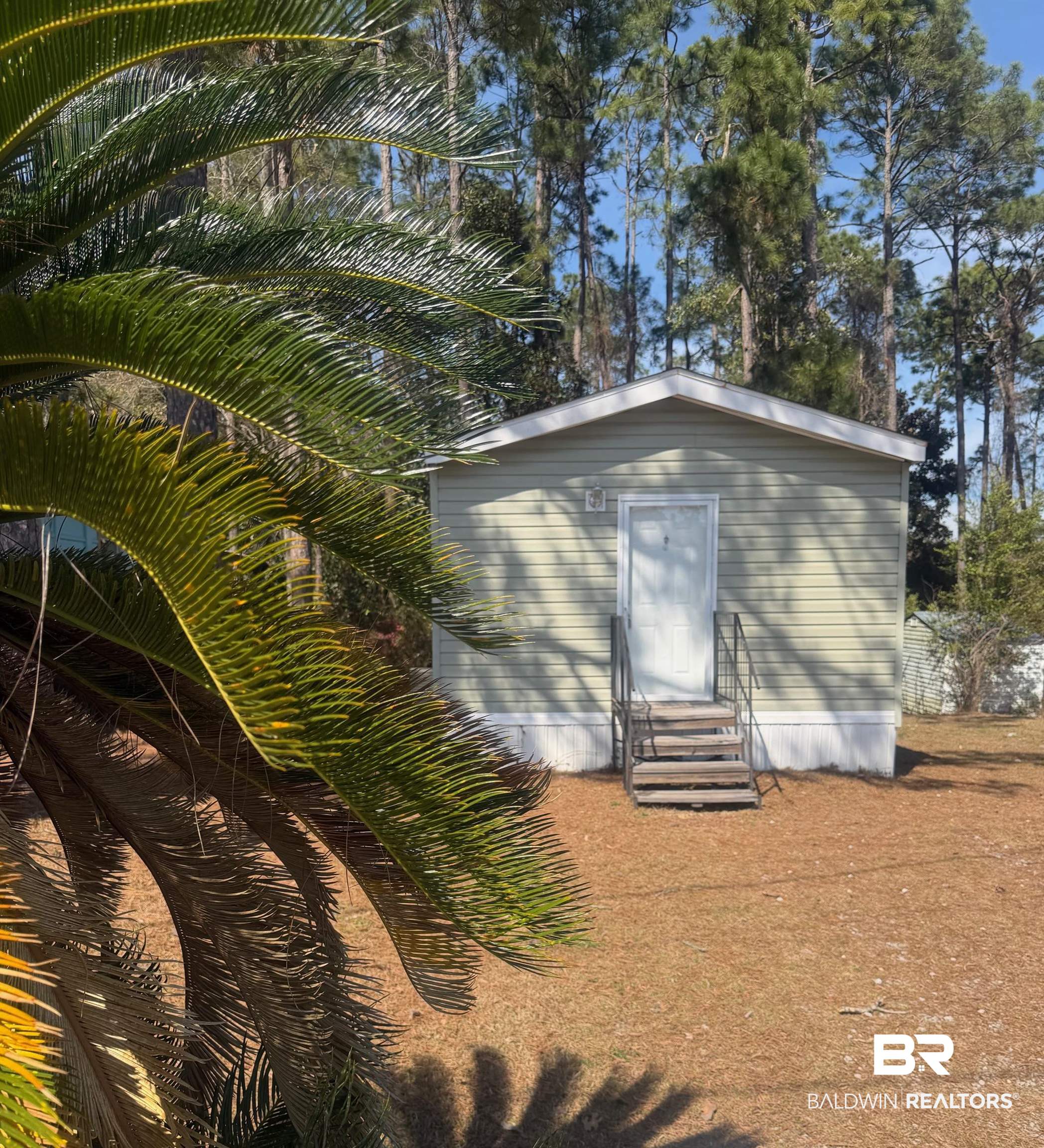 317 Buena Vista Drive — photo