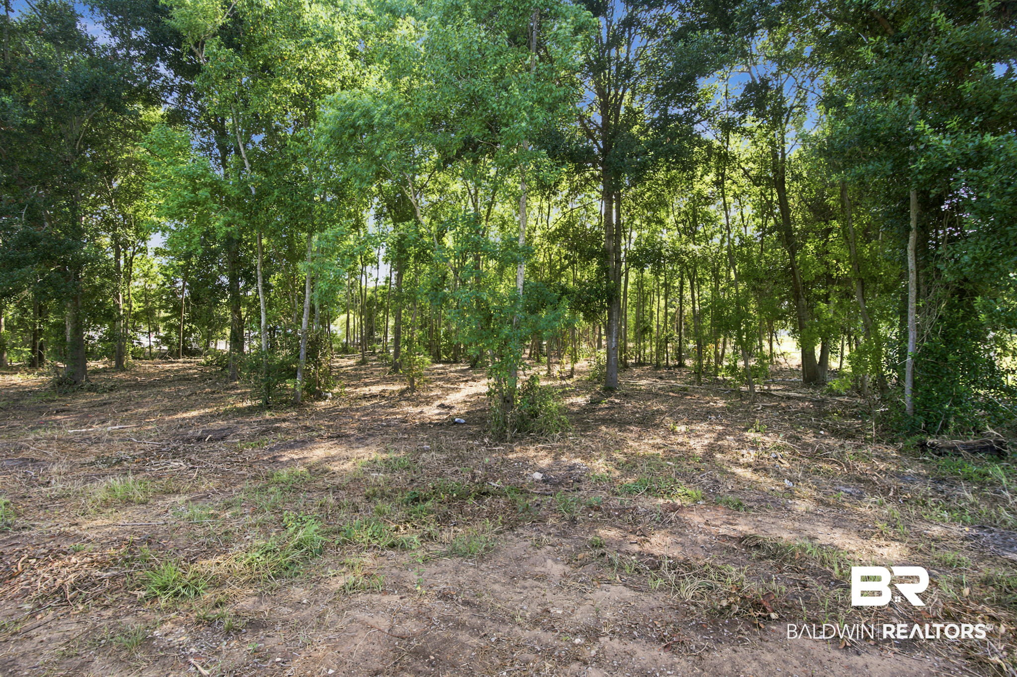 3417 S Beltline Park Dr — photo