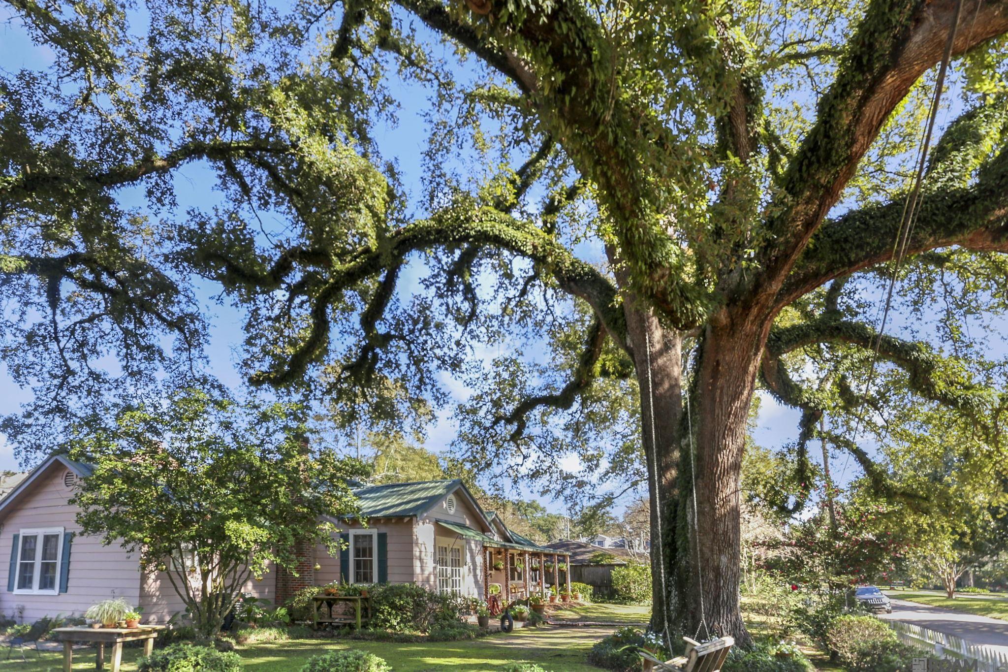 2609 Reymond Avenue, Baton Rouge, LA 70808 — photo 3