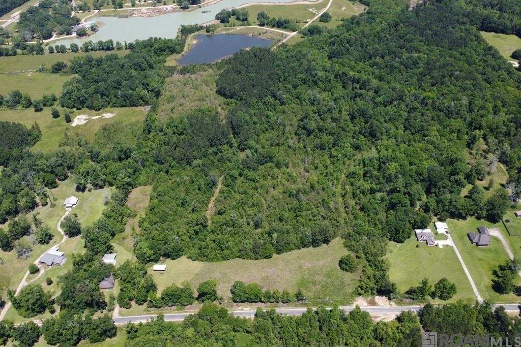 TBD Sims Rd, Denham Springs, LA 70706 — photo 3