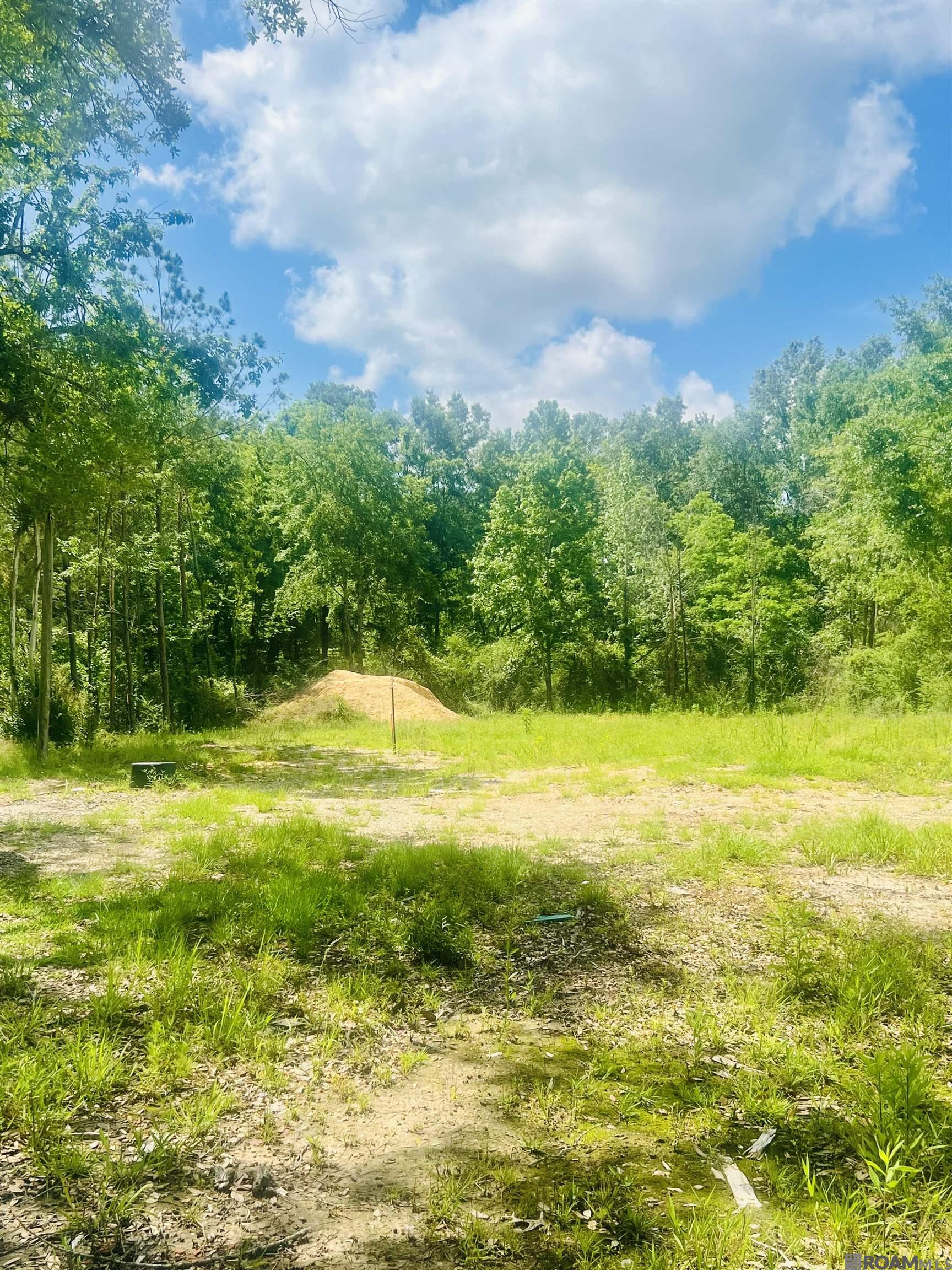 9756 Plank Road, Clinton, LA 70722