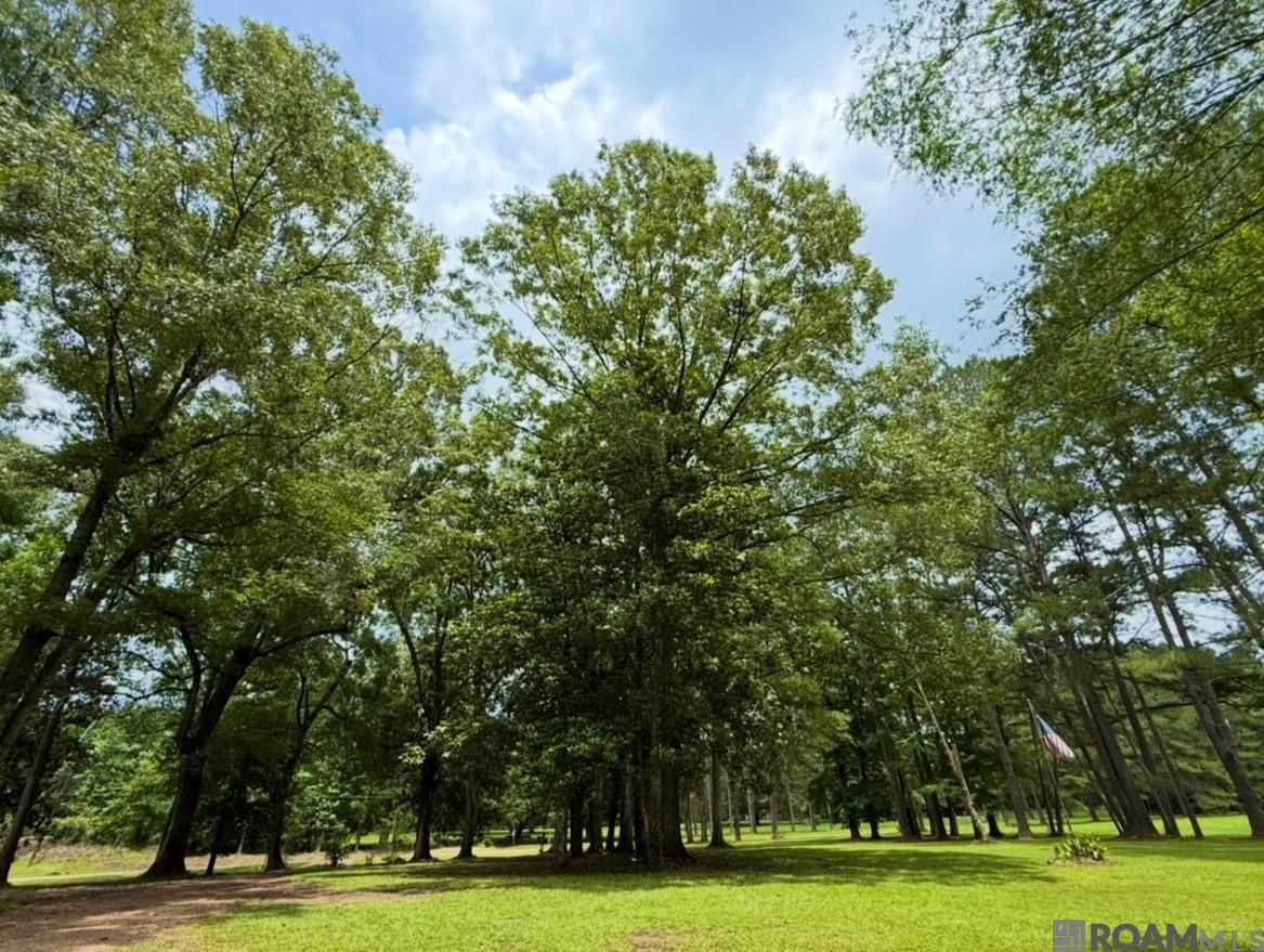 2363 Holly Ridge Road, Jackson, LA 70748 — photo 3