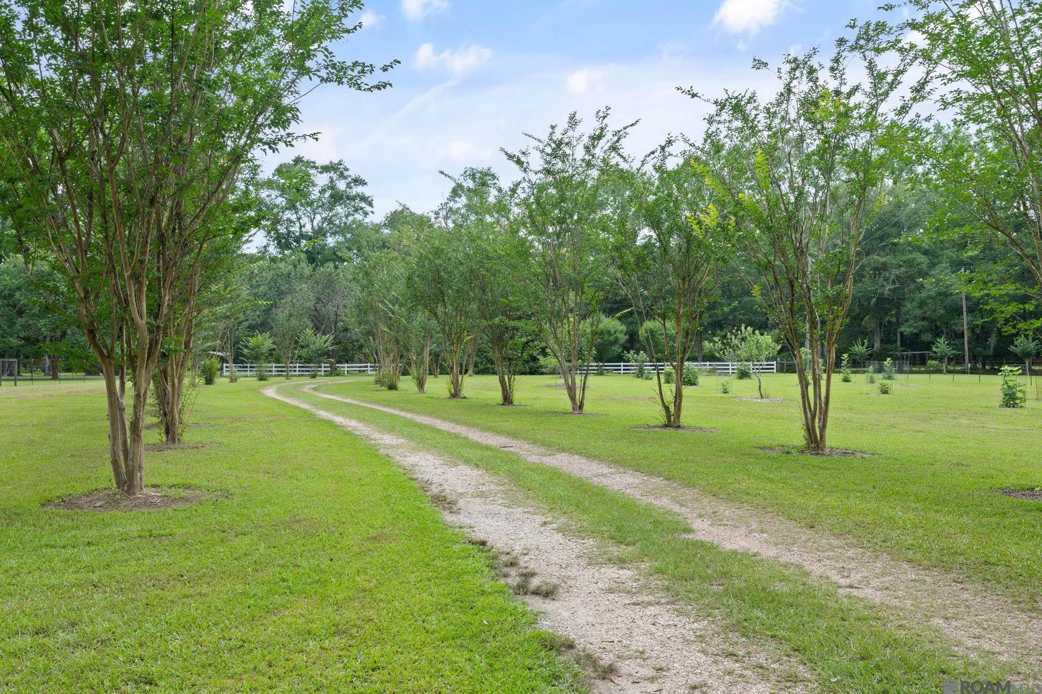 7042 Reed Road, St Francisville, LA 70775 — photo 3