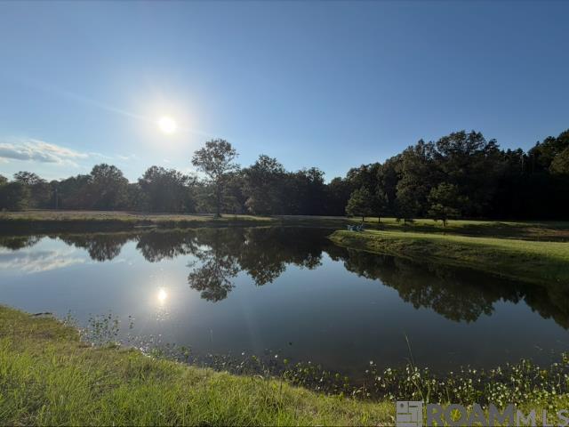 4420 Gilead Road, Clinton, LA 70722 — photo 2
