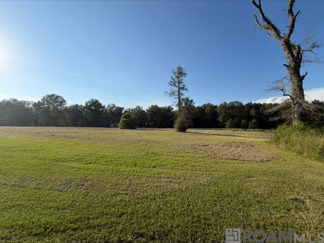 4420 Gilead Road, Clinton, LA 70722 — photo 3