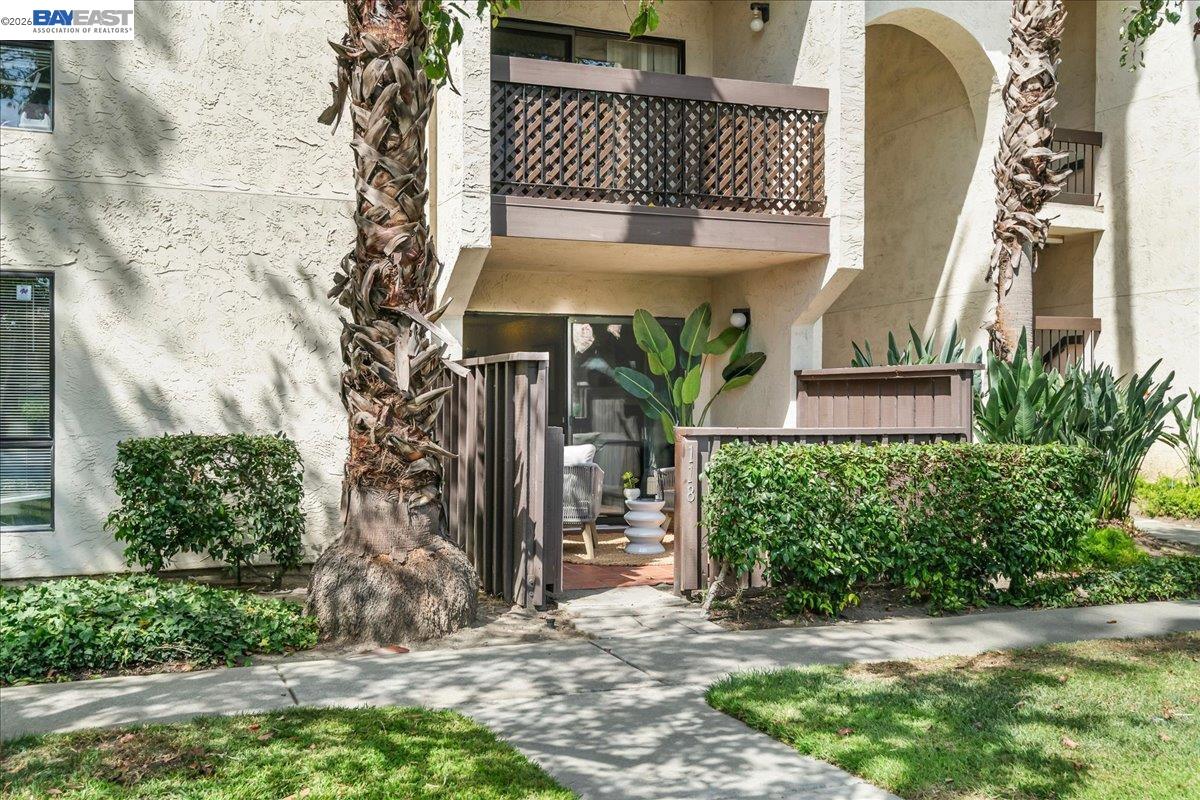 39843 Cedar Blvd #118 — photo