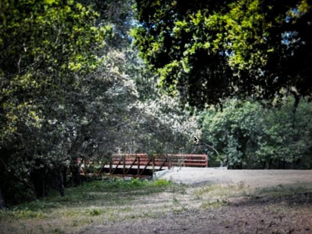 3343 Alpine Road — photo