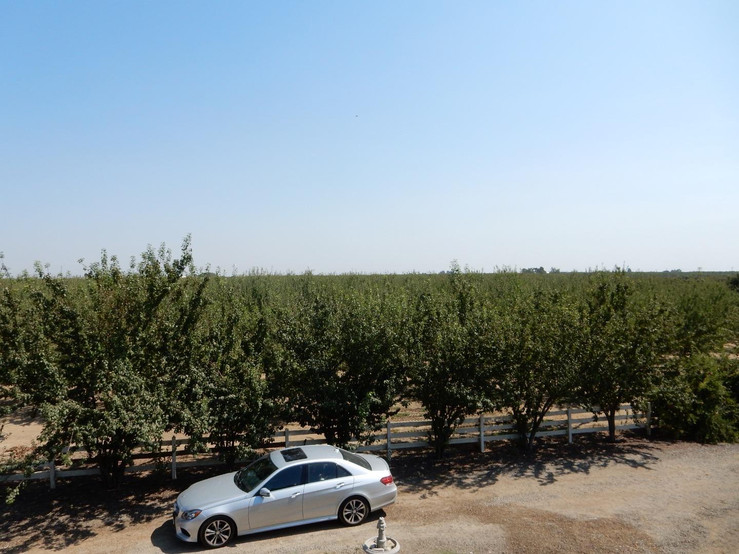 7861 Whitworth Road, Gustine, CA 95322 — photo 3