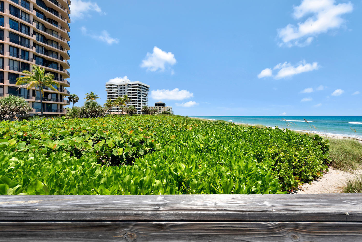 530 Ocean Drive 202 — photo
