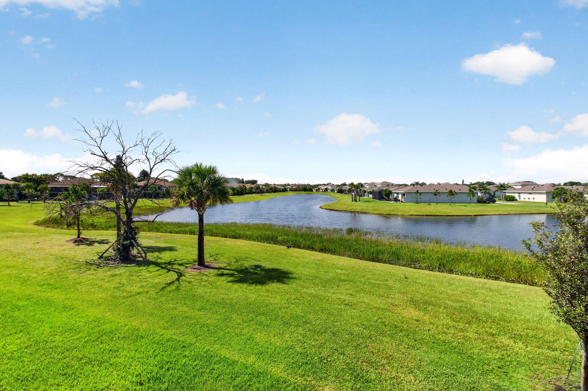 5650 Spindle Palm Court D — photo